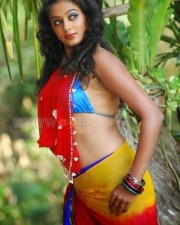 Priyamani Sexy Hot Bikini Pictures