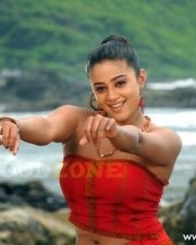 Priyamani Sexy Hot Pictures