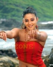 Priyamani Sexy Hot Pictures