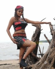 Priyamani Sexy Hot Pictures