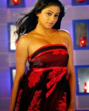 Priyamani Sexy Pictures