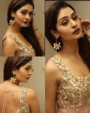 Punjabi Actress Payal Rajput Photos