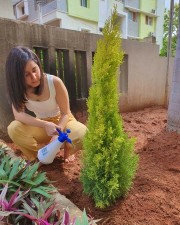 Raashi Khanna Doing The Green India Challenge Photos