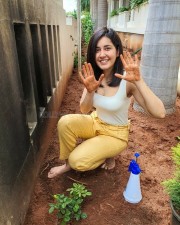 Raashi Khanna Doing The Green India Challenge Photos