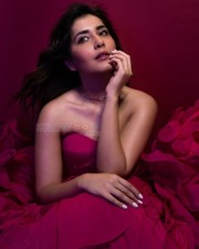 Raashi Khanna Irresistible Photoshoot Pictures