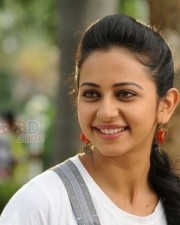 Rakul Preet Singh In Rough Movie Photos