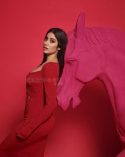 Red Hot Janhvi Kapoor Horse Photoshoot Pictures 07