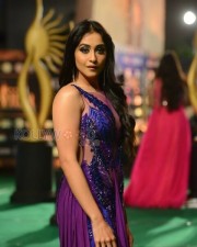 Regina Cassandra Hot See Through Photos