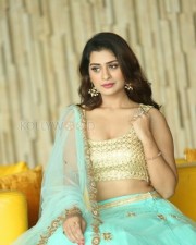 Rx Heroine Payal Rajput Sexy Photos