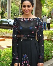 Sarrainodu Movie Heroine Rakul Preet Singh Photos