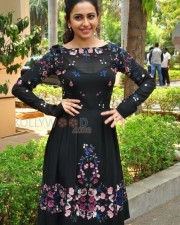 Sarrainodu Movie Heroine Rakul Preet Singh Photos