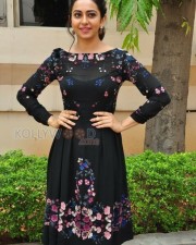 Sarrainodu Movie Heroine Rakul Preet Singh Photos