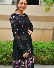 Sarrainodu Movie Heroine Rakul Preet Singh Photos