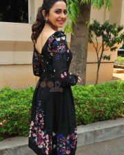 Sarrainodu Movie Heroine Rakul Preet Singh Photos