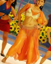 Sexy Actress Anushka Shetty Stills