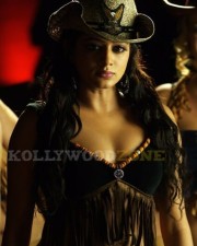 Sexy Actress Priyamani Spicy Hot Pictures