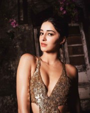 Sexy Ananya Panday in a Golden Cut Out Sequin Gown Pictures 02