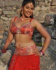 Sexy Anjali In Maharaja Movie Stills