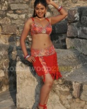 Sexy Anjali In Maharaja Movie Stills