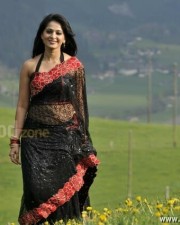 Sexy Anushka Saree Photos