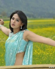 Sexy Anushka Saree Photos