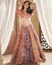 Sexy Jacqueline Fernandez showing navel in a Traditional Lehenga Photoshoot Stills 04