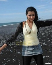 Sexy New Trisha Pictures