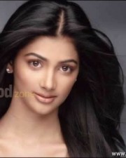 Sexy Pooja Hegde Pictures