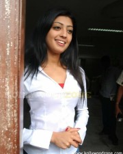 Sexy Pranitha Pics