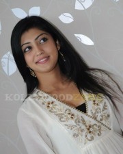 Sexy Pranitha Stills