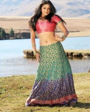 Sexy Priyamani Stills