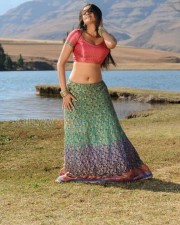 Sexy Priyamani Stills