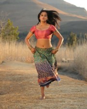 Sexy Priyamani Stills