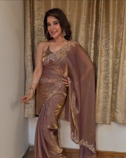 Sexy Sakshi Agarwal in a Brown Backless Saree Photos 05