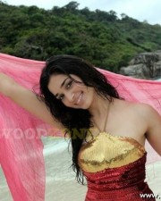 Sexy Tamanna In Siruthai Movie Stills