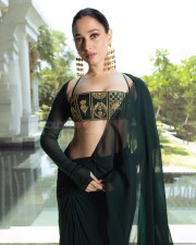Sexy Tamannaah Bhatia in a Green and Gold Bustier Blouse and Saree Photos 02