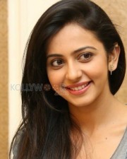 Sexy Tolly Actress Rakul Preet Singh Photos