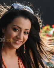 Sexy Trisha From Dammu Movie Photos