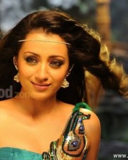 Sexy Trisha From Dammu Movie Photos