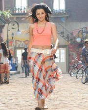 Sexy Trisha From Dammu Movie Photos