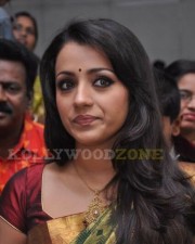 Sexy Trisha In Saree Pics