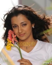 Sexy Trisha Pics