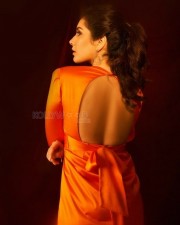 Shaitan Ka Bachcha Movie Heroine Raashi Khanna Photoshoot Stills