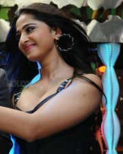 Singam Actress Anushka Pictures