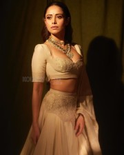 Sizzling Nushrratt Bharuccha in a Beige Lehenga with a Plunging Neckline Blouse Photos 01