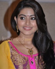 Sneha Sexy Photos