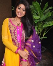 Sneha Sexy Photos