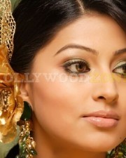 Sneha Stills