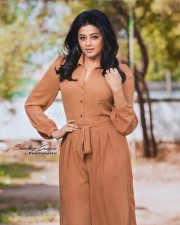 South Actress Priyamani Latest Photoshoot Pictures