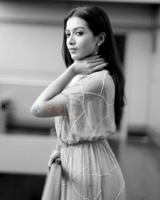 South Indian Actress Catherine Tresa Photoshoot Pictures